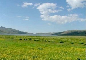 تبدیل دیمزارهای کم بازده به مرتع
