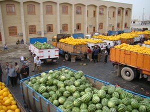 در سه ماهه اول امسال صورت گرفت/ صادرات بیش از ۳۹ هزار تن انواع محصولات کشاورزی از خرمشهر