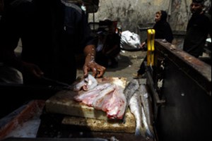 معاون خدمات شهری شهرداری اهواز خبر داد: دستفروشان بازار سیمتری اهواز جمعآوری میشوند