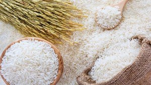امسال ۲ میلیون و ۸۰۰ هزارتن برنج تولید میشود