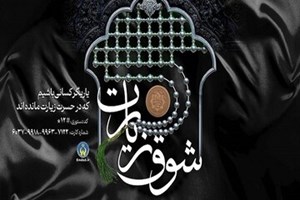 آسوده اعلام کرد؛ روش‌های مشارکت در پویش «شوق زیارت»