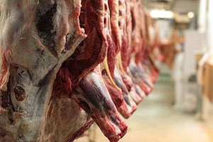 رئیس اتحادیه گوشت گوسفندی عنوان کرد: علت افزایش قیمت گوشت/ مسئولان وعده کاهش قیمت را دادهاند