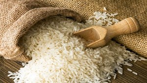 تولید برنج به ۲ میلیون و ۶۰۰ هزار تن میرسد