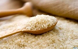 برنجهای وارداتی در حال ترخیص است برنجهای وارداتی در حال ترخیص است