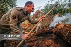 حریق ۲۸۸ هکتار از مناطق و جنگلهای خوزستان/ پیشبینی آتشسوزیهای گسترده در تابستان