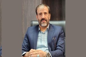 معاون فناوری اطلاعات بانک سپه خبر داد: دریافت ارز اربعین بهصورت غیرحضوری از طریق روبیکا و بانک سپه