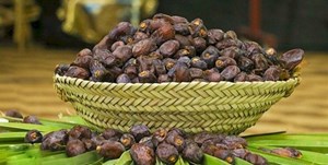 پیشبینی برداشت ۳۳۰ هزار تن محصول از نخیلات خوزستان