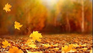 چگونه تغییر خلقوخو در فصل سرما را مدیریت کنیم؟