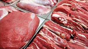 ۷۰ درصد واردات گوشت مربوط به گوشتهای منجمد است