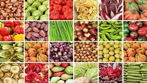 گردش مالی محصولات ارگانیک ۱۲۰ میلیارد یورو است
