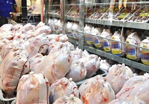 تولید و توزیع مرغ گوشتی به اتحادیه مرغداران گوشتی واگذار میشود