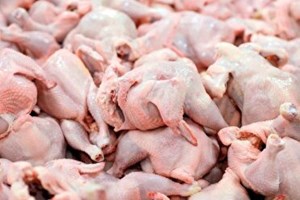 تولید بیش از ۱۲ هزار تن گوشت مرغ در خوزستان