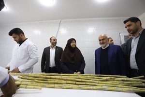 معاون رئیس جمهور: نفت باید در چارچوب محیط زیست در «هورالعظیم» فعالیت داشته باشد