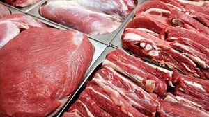 کیفیت گوشت های وارداتی چگونه است؟+فیلم